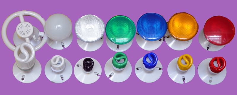 LED Lighting bulbs